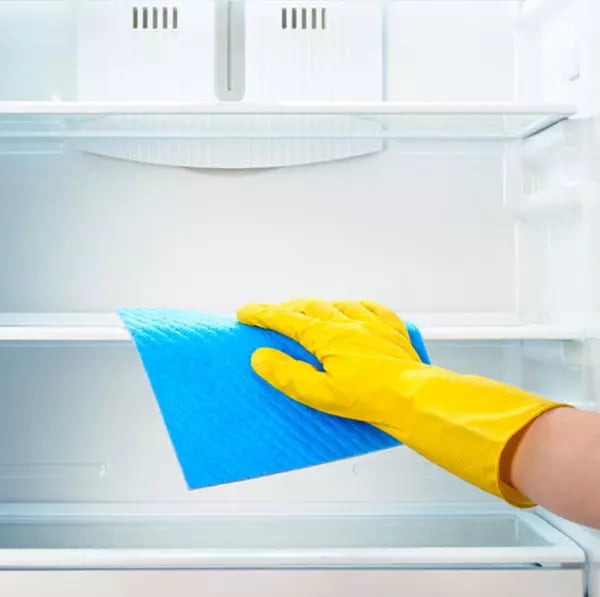 fridge-professional-cleaning